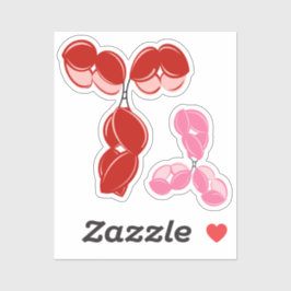 Antikörper IgG 1 oder 4, rot und rosa Aufkleber