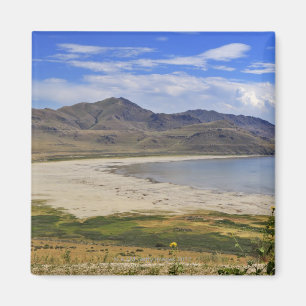 Antilopen-Insel-Staats-Park, Great Salt Lake, Magnet