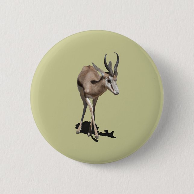 Antilopenbaby Button (Vorderseite)
