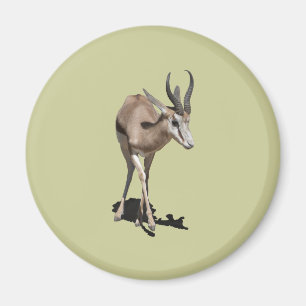 Antilopenbaby Magnet
