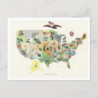 Antique 1911 USA Staat Blume Karte