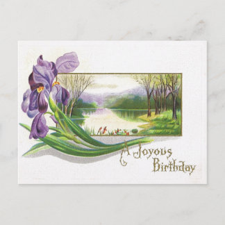 Antique Birthday Post-Card-Lila Iris-Blume Postkarte