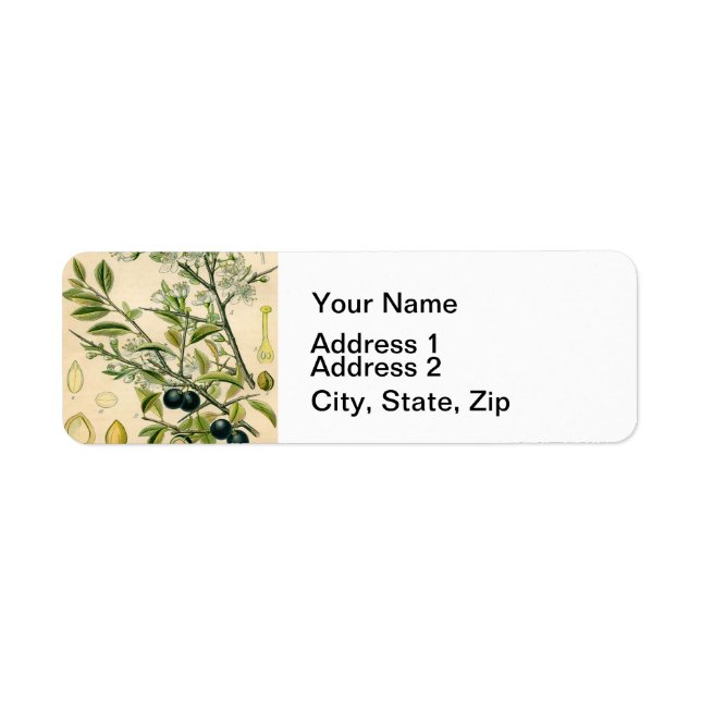 Antique Blackthorn Botanische Print Blume Berry (Vorne)