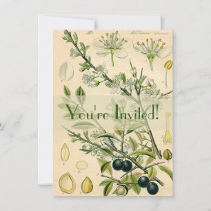 Antique Blackthorn Botanische Print Blume Berry Einladung