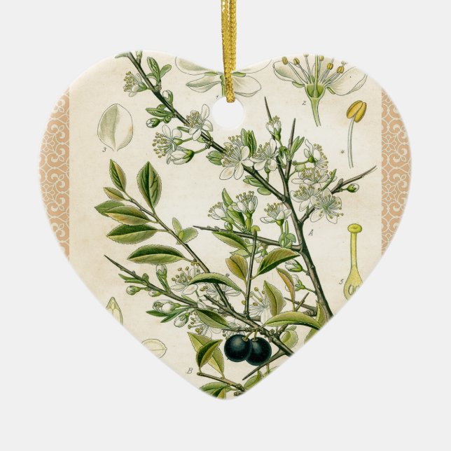 Antique Blackthorn Botanische Print Blume Berry Keramik Ornament (Vorne)