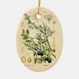 Antique Blackthorn Botanische Print Blume Berry Keramikornament