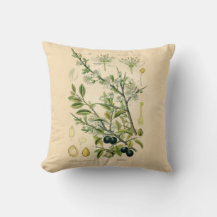Antique Blackthorn Botanische Print Blume Berry Kissen