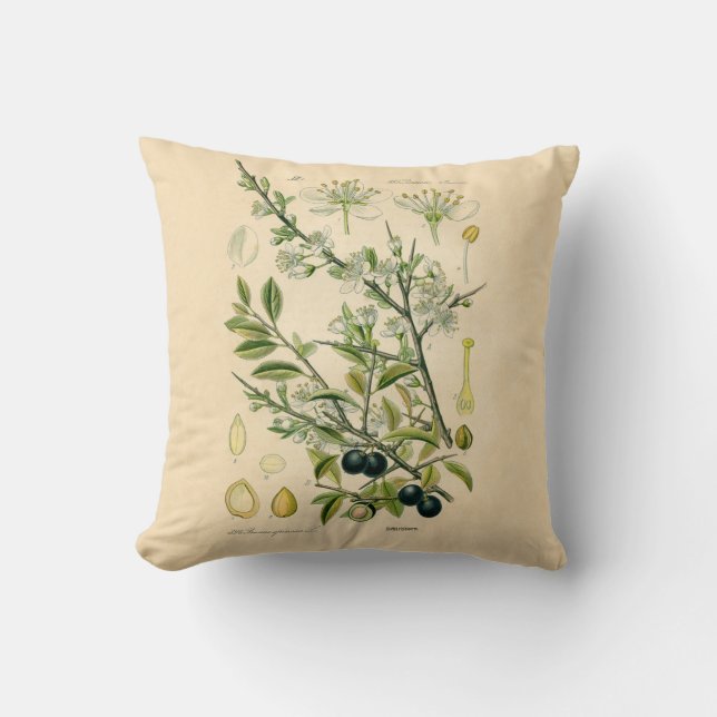 Antique Blackthorn Botanische Print Blume Berry Kissen (Vorderseite)