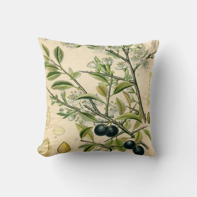 Antique Blackthorn Botanische Print Blume Berry Kissen (Vorderseite)