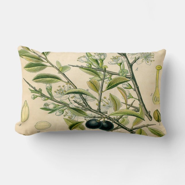 Antique Blackthorn Botanische Print Blume Berry Lendenkissen (Vorderseite)