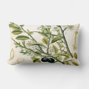 Antique Blackthorn Botanische Print Blume Berry Lendenkissen