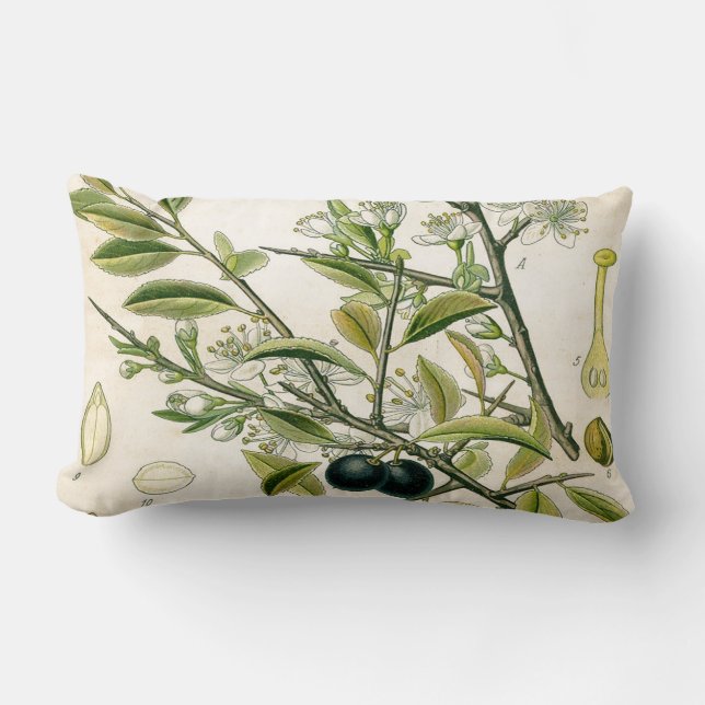 Antique Blackthorn Botanische Print Blume Berry Lendenkissen (Vorderseite)