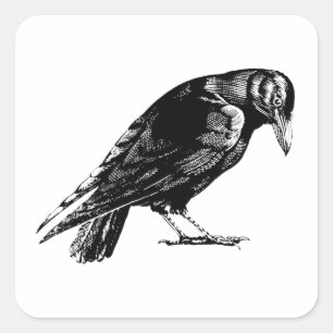 Antique Crow Blackbird RavenTotebag Quadratischer Aufkleber