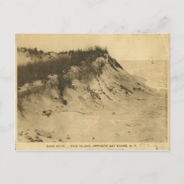 Antique Fire Island Carte postale New York (Devant)