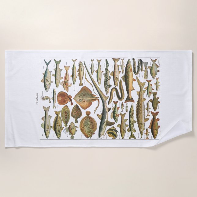 Antique fish chart crafter's strandtuch (Vorderseite)