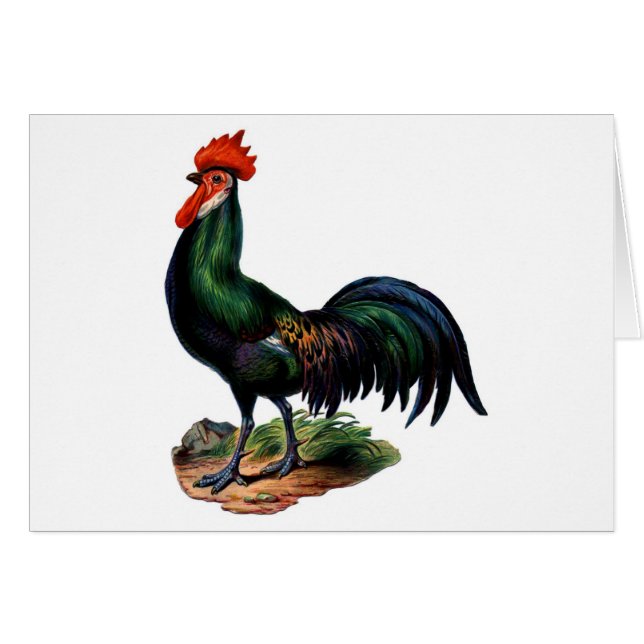 Antique Green Feathers Rooster (Devant horizontal)