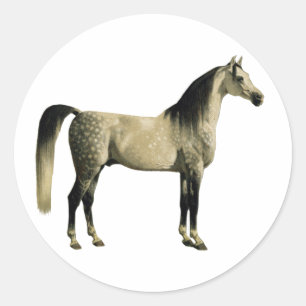 Antique Horses - Arabian Runder Aufkleber