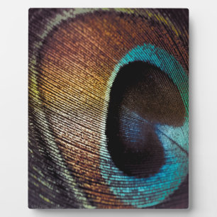 Antique Hues Peacock Federauge Auge Fotoplatte