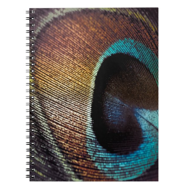 Antique Hues Peacock Federauge Auge Notizblock (Vorderseite)