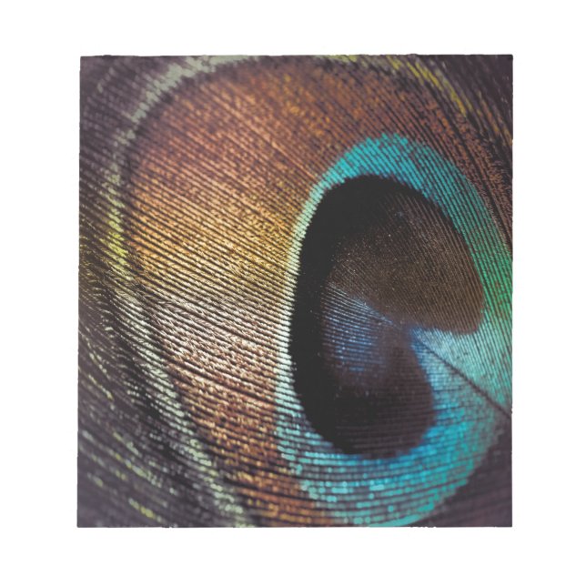 Antique Hues Peacock Federauge Auge Notizblock (Vorderseite)