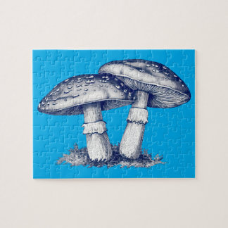 Antique of mushroom drawing