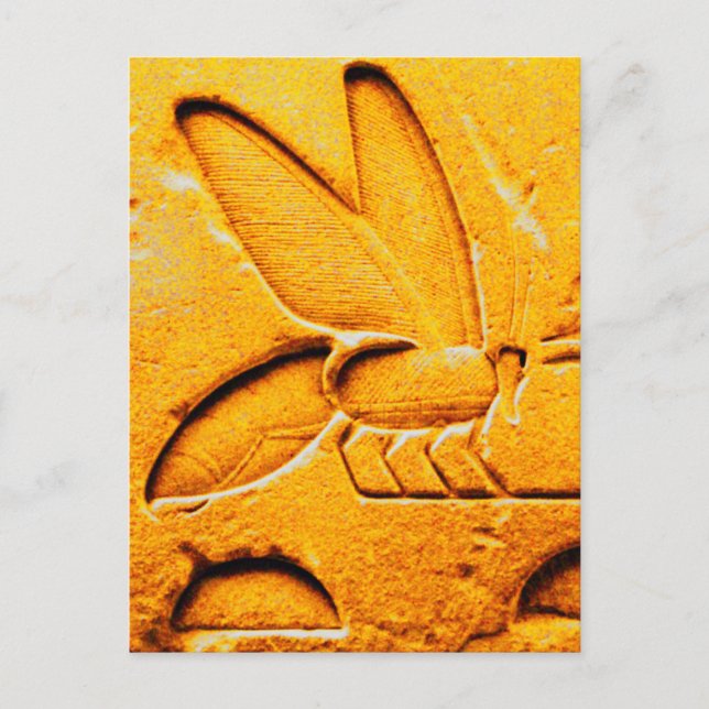 ANTIQUE ORANGE YELLOW EGYPTIAN HONEY BIE BEEKEEPER POSTKARTE (Vorderseite)