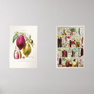 antique　plant　unique bilderwand sets