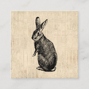 Antique Rabbit Illustration Bunny Art mit Script Begleitkarte