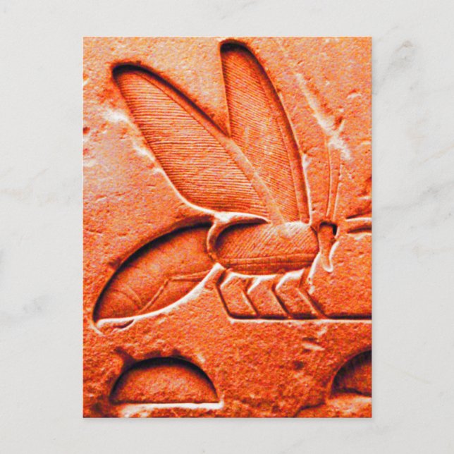 ANTIQUE RED EGYPTIAN HONEY BIE BEEKEEPER POSTKARTE (Vorderseite)