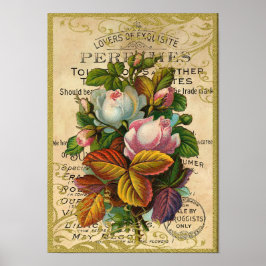 Antique Roses Perfume Butterflies Poster