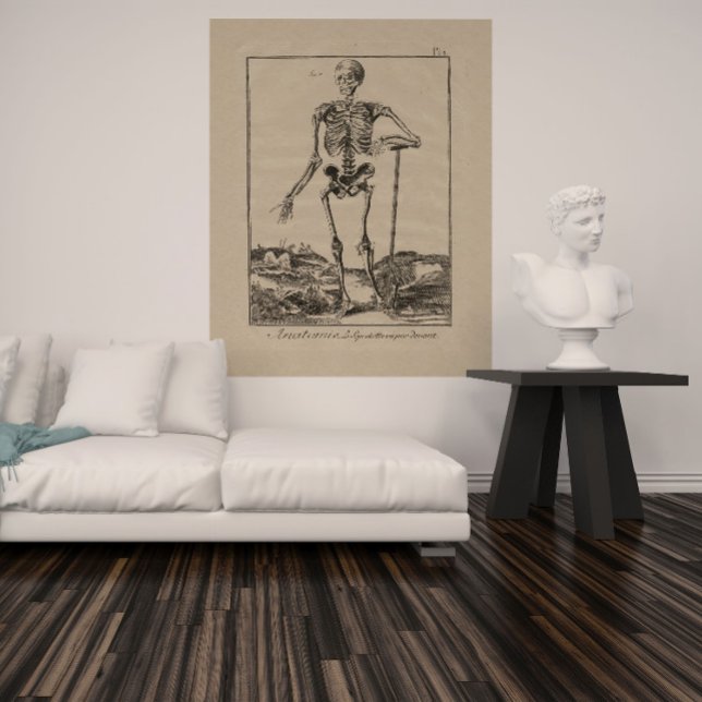 Antique Squelette humain Anatomie Poster (Créateur téléchargé)