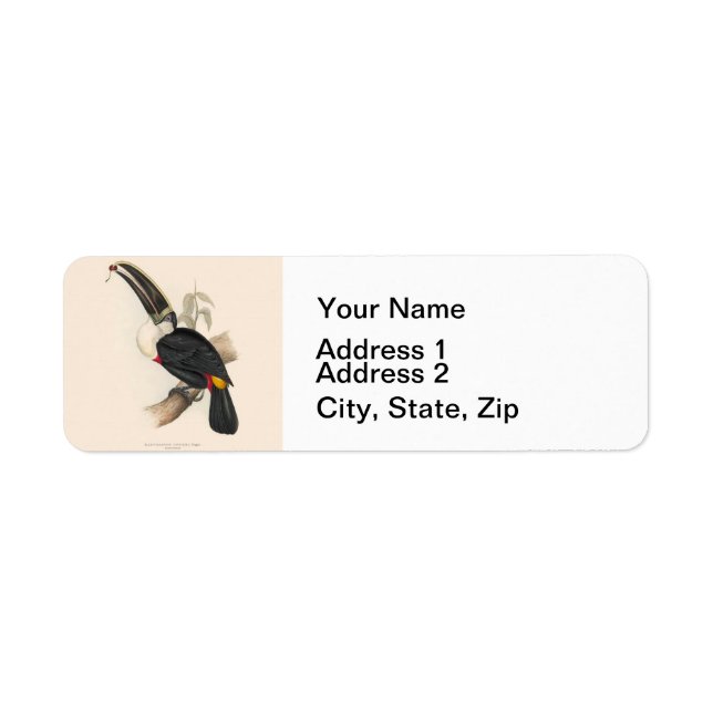 Antique Toucan Bird Wildlife Painting (Vorne)