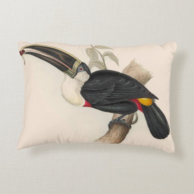 Antique Toucan Bird Wildlife Painting Dekokissen (Rückseite)