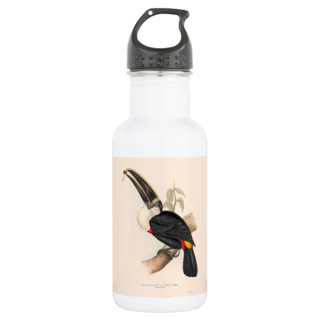 Antique Toucan Bird Wildlife Painting Edelstahlflasche (Vorderseite)