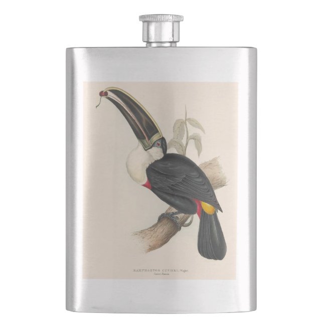 Antique Toucan Bird Wildlife Painting Flachmann (Vorderseite)