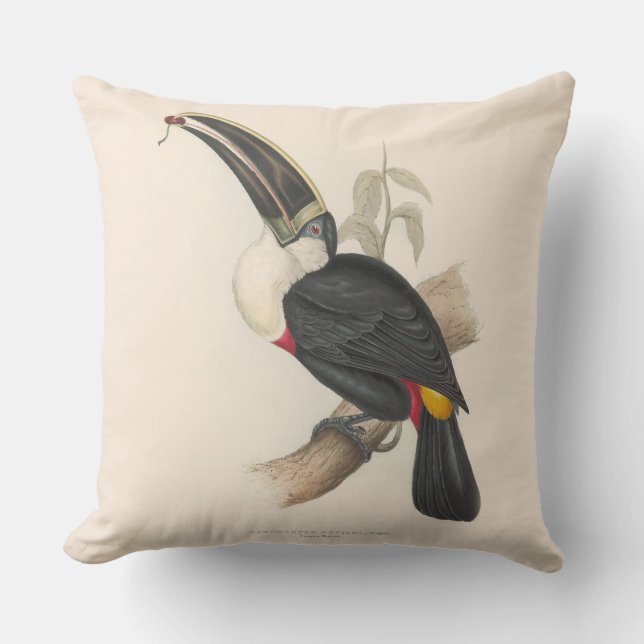 Antique Toucan Bird Wildlife Painting Kissen (Vorderseite)