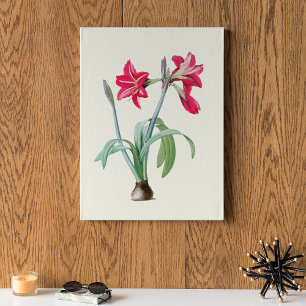Antique Watercolor Botanical Print  Poster