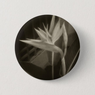 Antiqued Paradiesvogel 10 Button