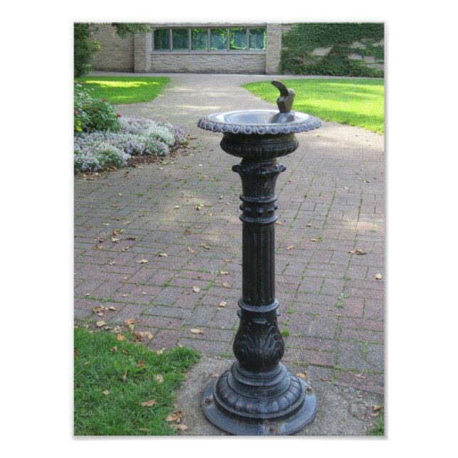Antiquitätenbrunnen Fotodruck (Vorne)