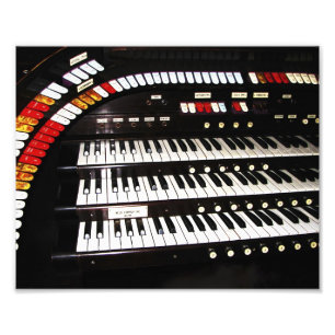 Antiquitätenorgan, Schlosspark Fotodruck