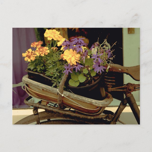 Antiquitätenrad Postkarte (Vorderseite)