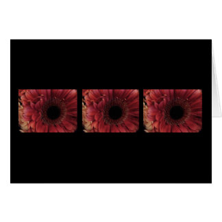 Antiquitätenrot (Trio)