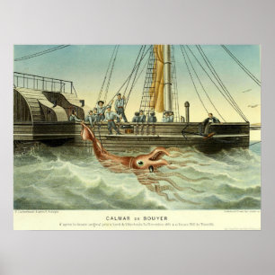Antiquitätenschiff fängt riesigen Tintenfisch Poster