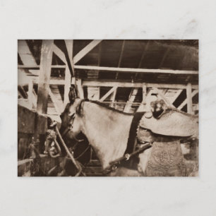 Antiquitätensehendes Foto Postkarte