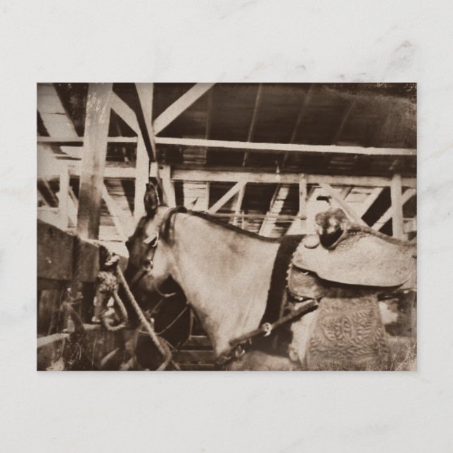 Antiquitätensehendes Foto Postkarte (Vorderseite)