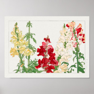 Antirhinum majus von Tanigami Konan Poster