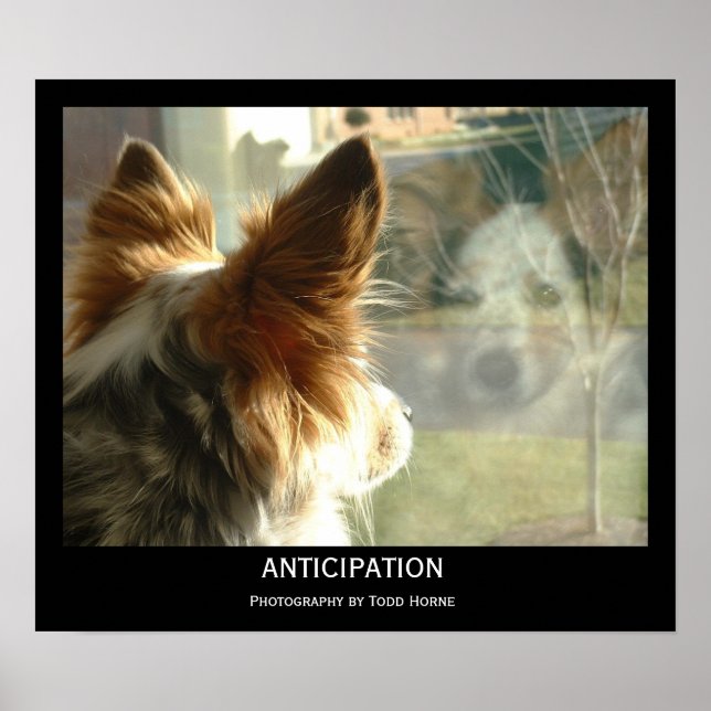 Antizipation Poster (Vorne)