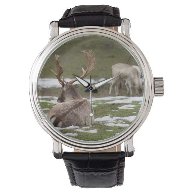 Antler Armbanduhr (Vorderseite)