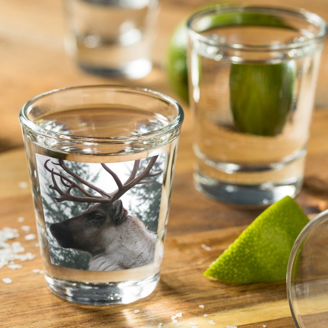 Antlertes Kariou-Foto Schnapsglas (In Situ)