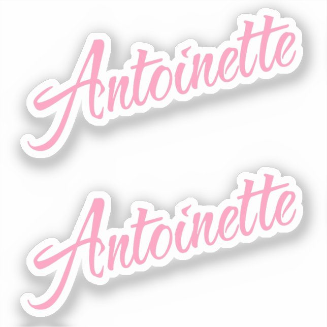 Antoinette Name x2 Vinyl Aufkleber (Vorderseite)